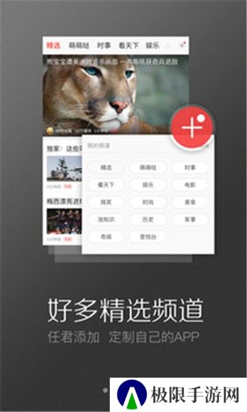 凤凰视频