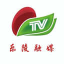 乐陵融媒体app官方版