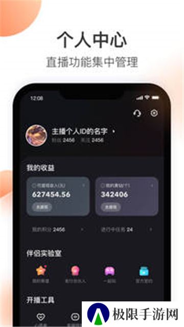 快手直播伴侣