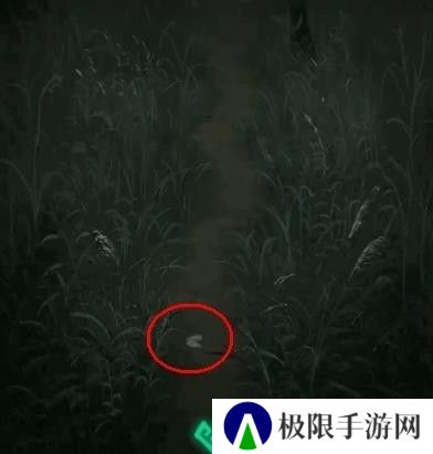 纸嫁衣1第四章攻略
