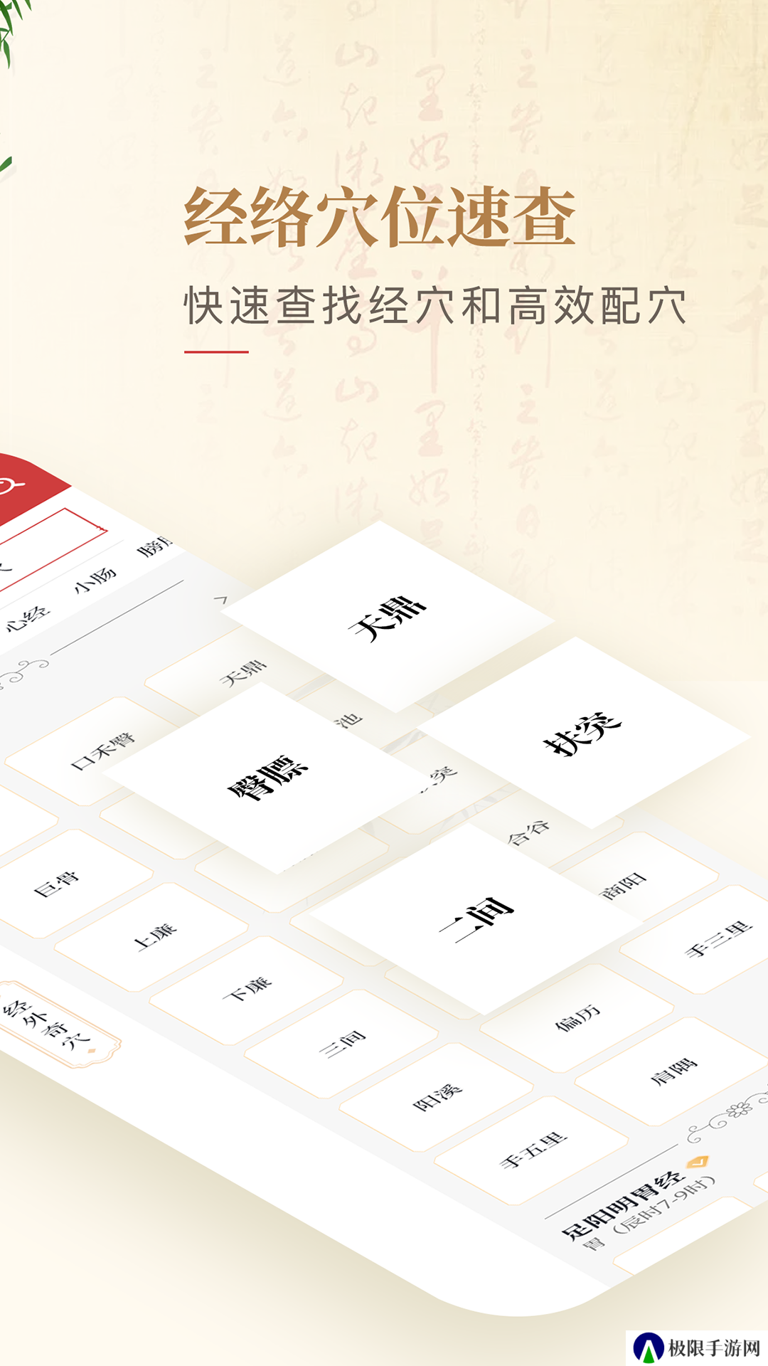 人体穴位图解纯净版