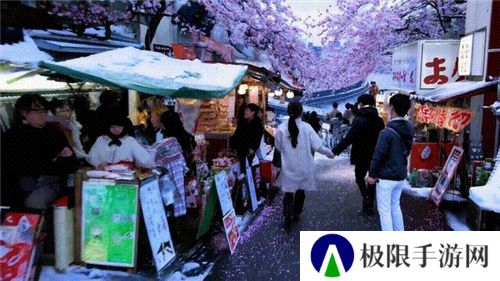 sora软件下载