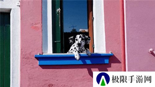 sora软件下载