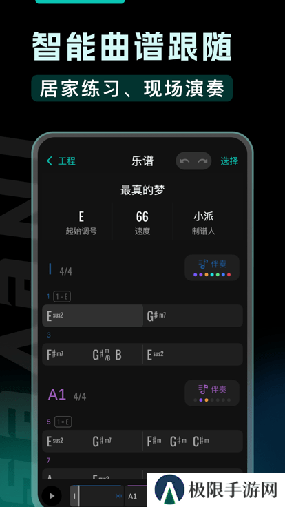 和弦派