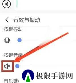 讯飞输入法打字声音怎么关？3
