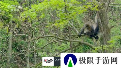 我的电视最新版本