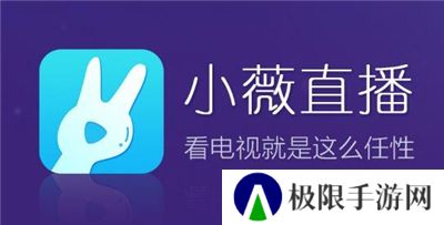 小薇直播自建频道