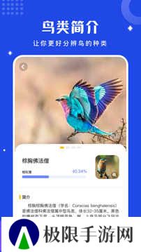 鸟语翻译器app