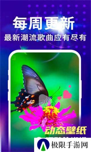 来电视频铃声官方