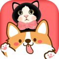 旺旺猫狗翻译器