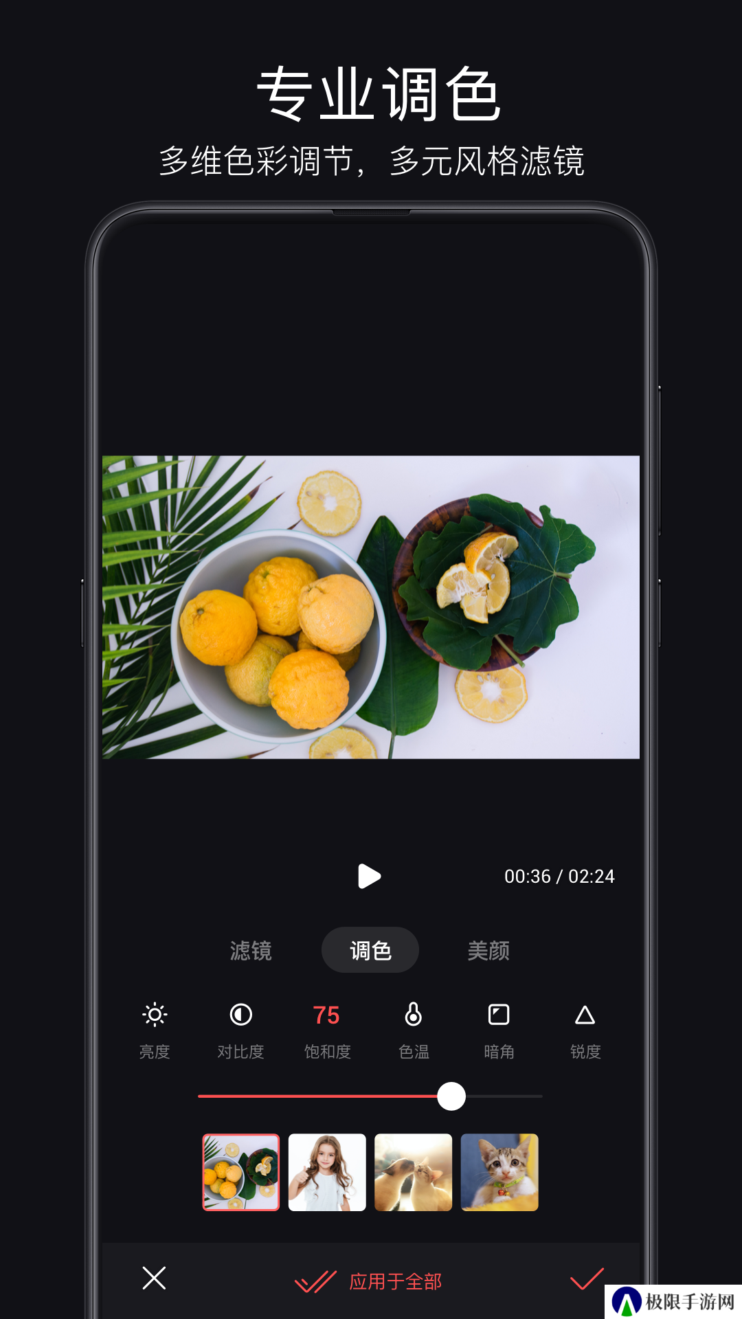 书法字典大全免费版
