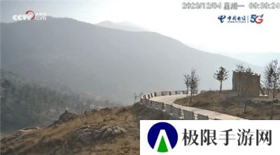 鲨鱼电视