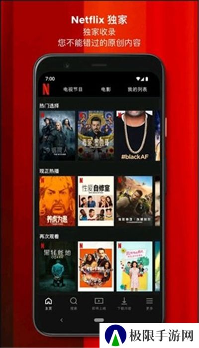 网飞netflix