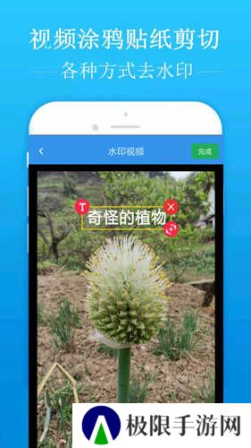 去水印吧会员版