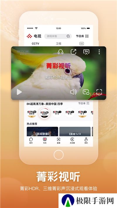 央视频电视版app下载