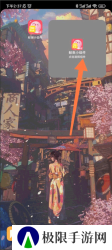 鲸鱼小组件怎么自定义图标？1